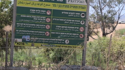 נעמה_4.jpg